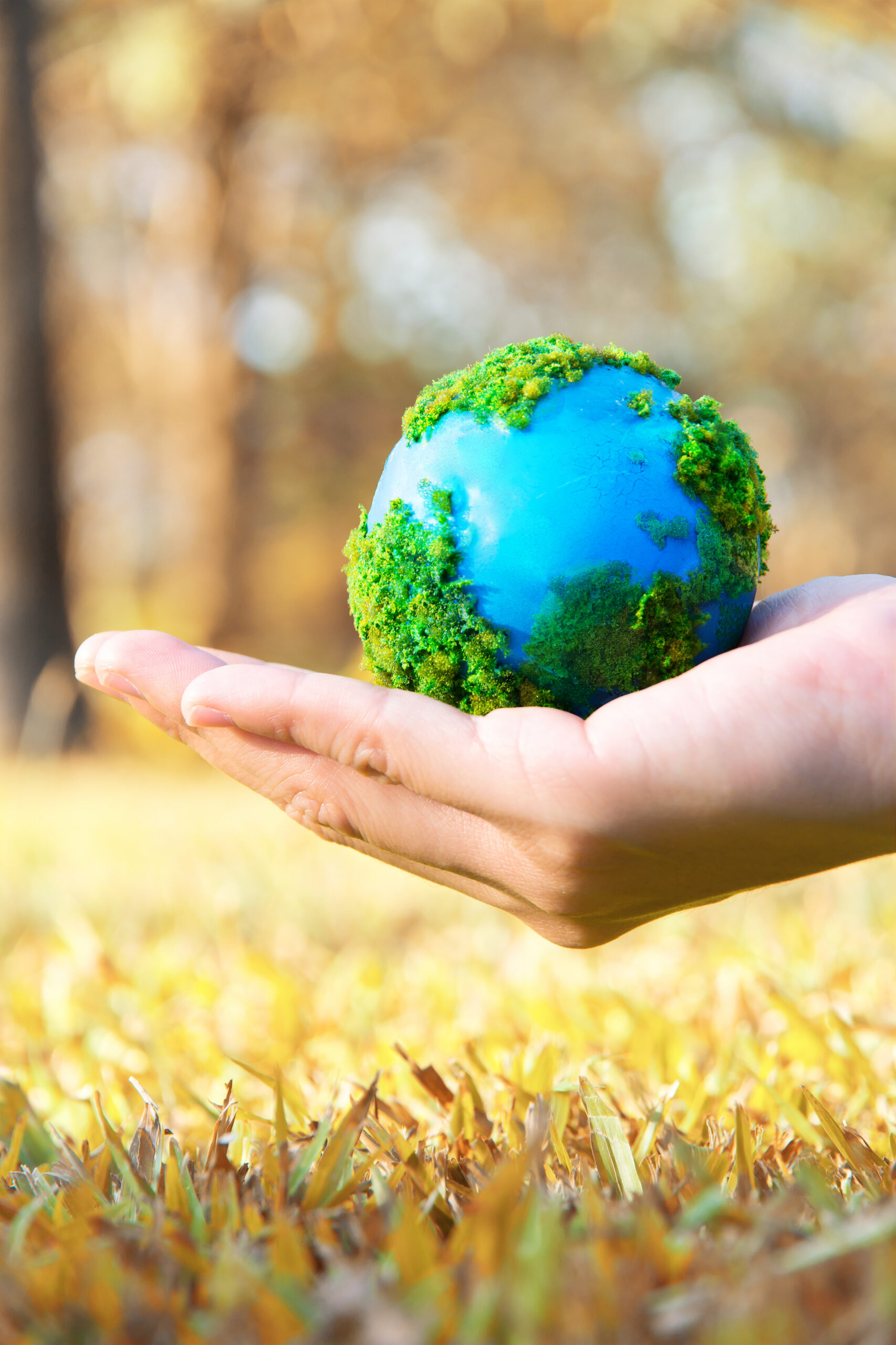 color photo of hand holding the earth representing environmental safety